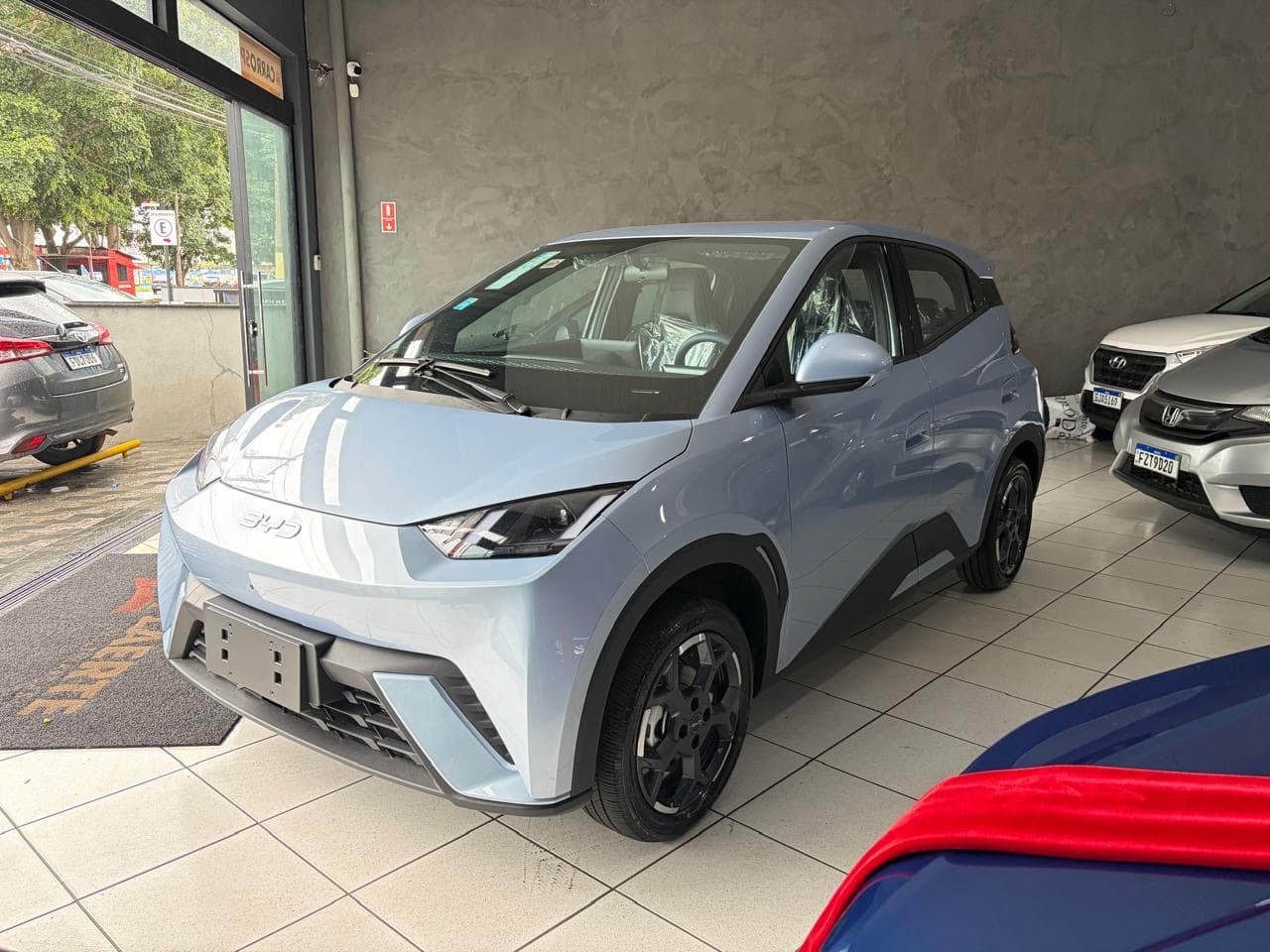 DOLPHIN MINI GS 5EV